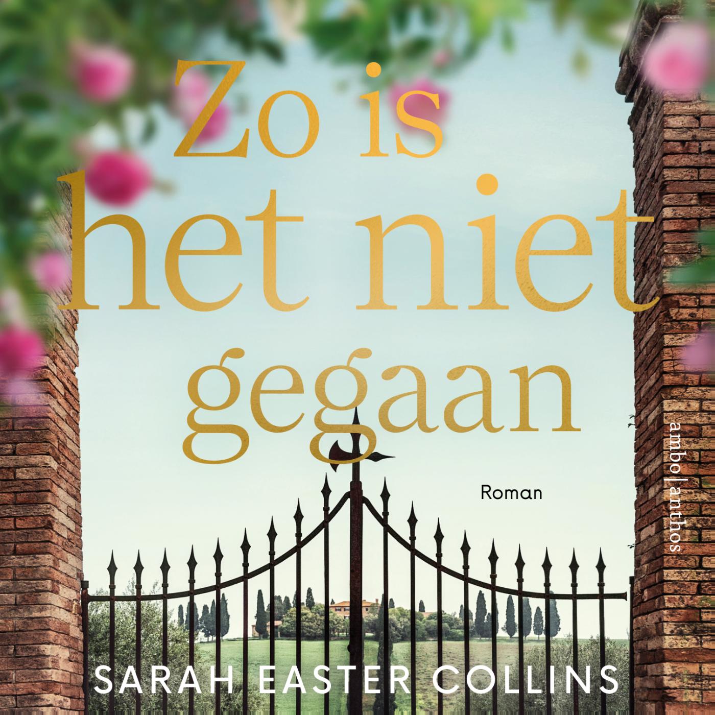 Omslag van Zo is het niet gegaan