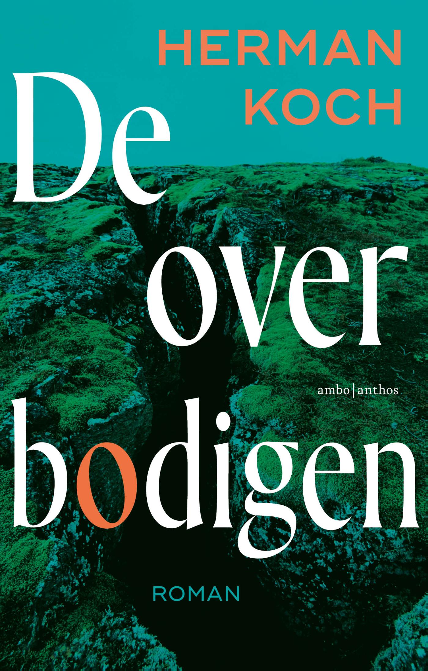 Omslag van De overbodigen