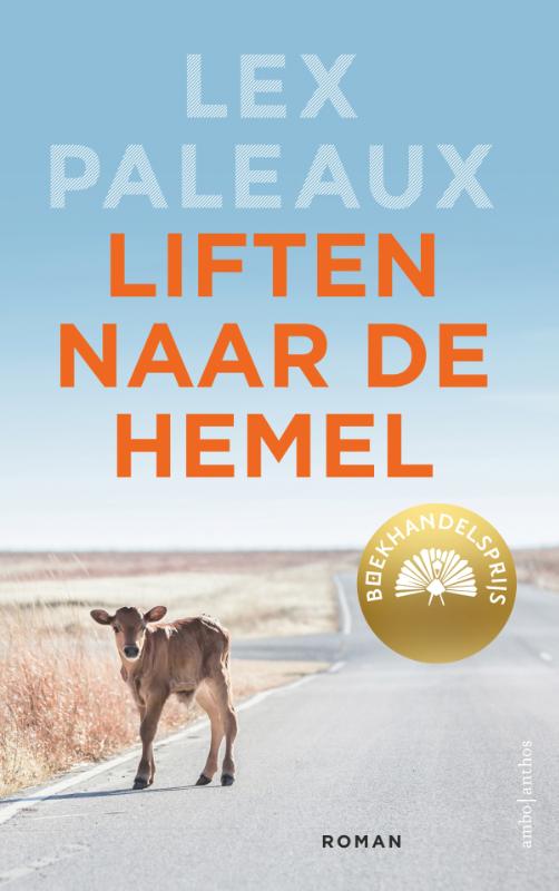 Omslag van Liften naar de hemel