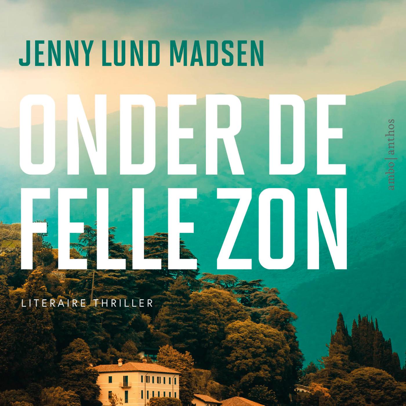 Omslag van Onder de felle zon