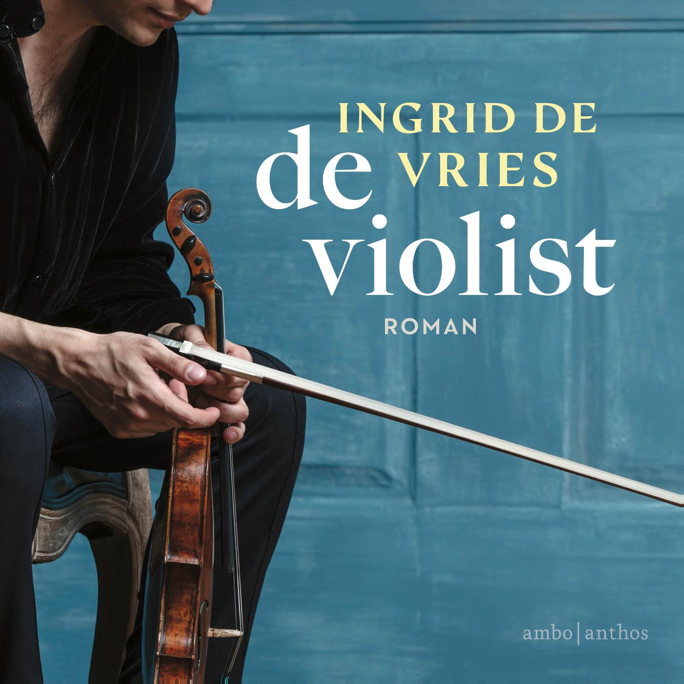 Omslag van De violist