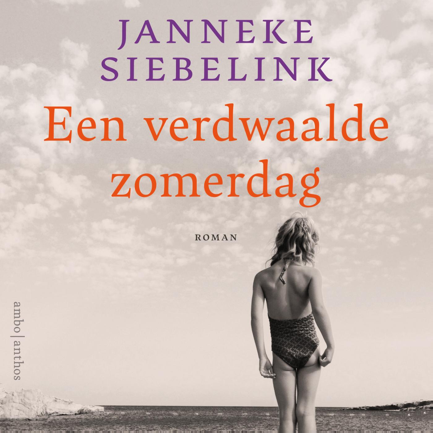 Omslag van Een verdwaalde zomerdag