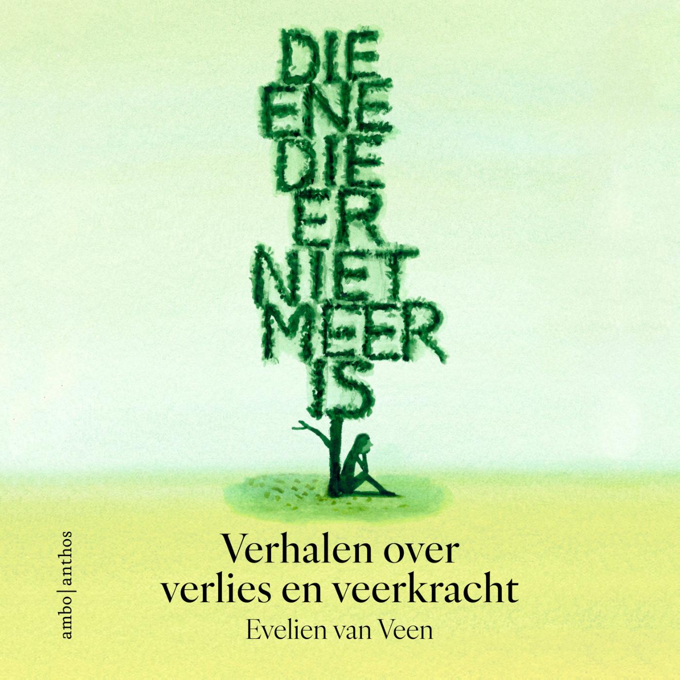 Omslag van Die ene die er niet meer is