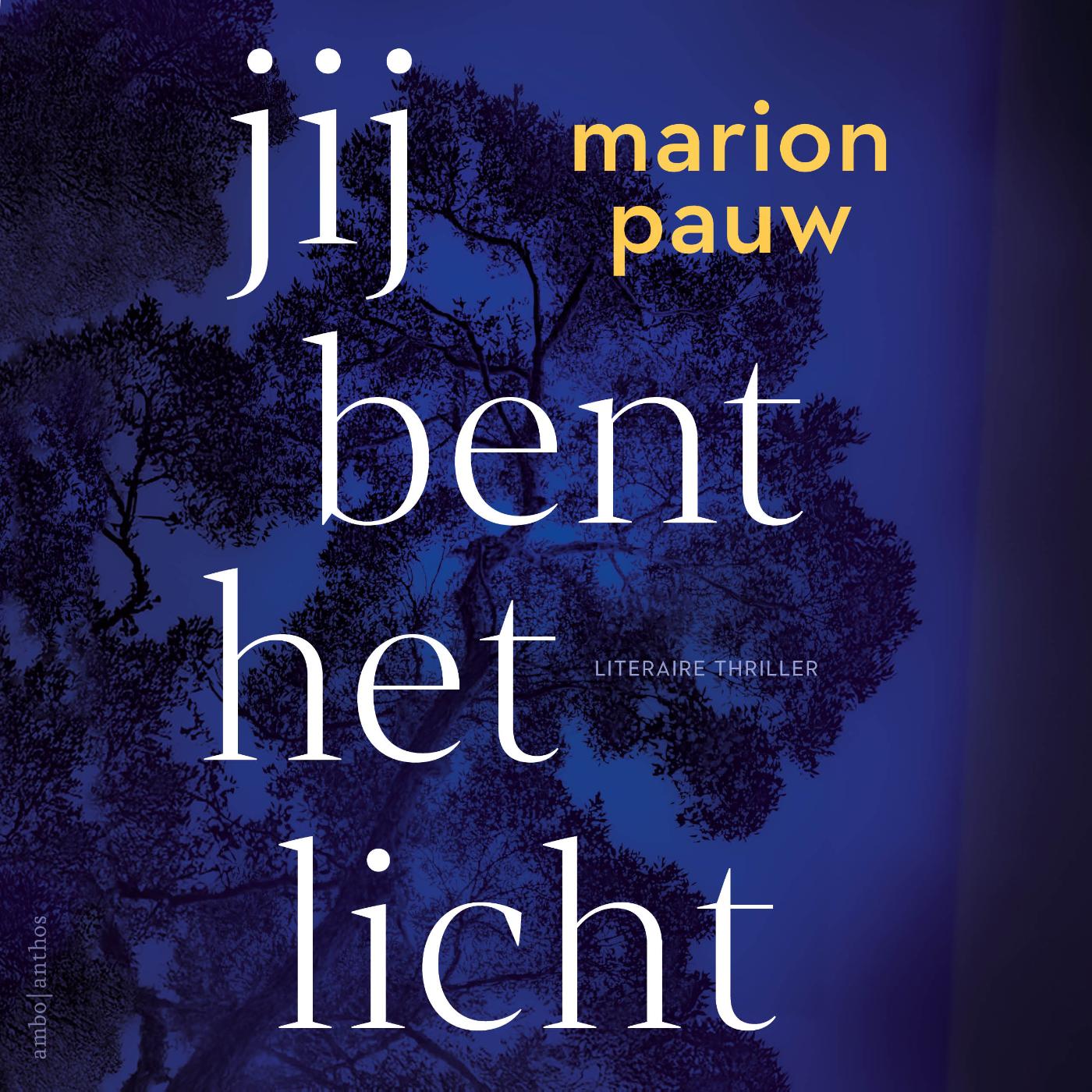 Omslag van Jij bent het licht