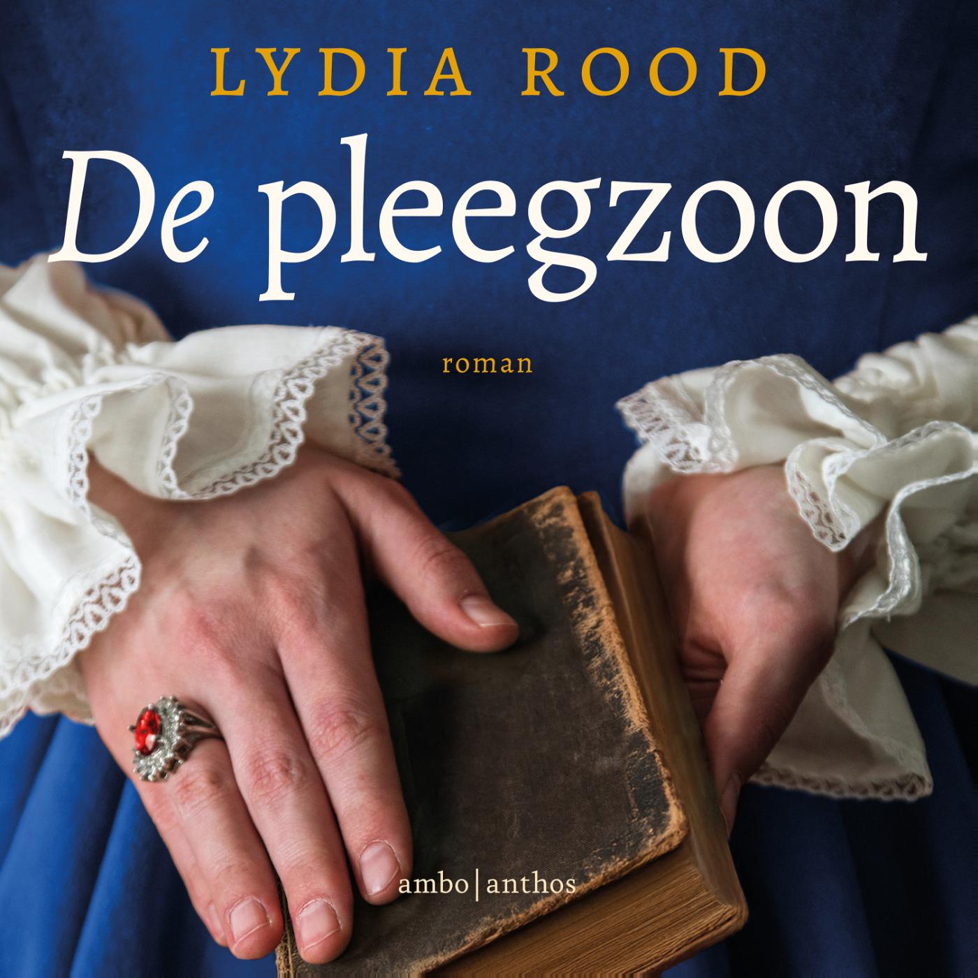 Omslag van De pleegzoon
