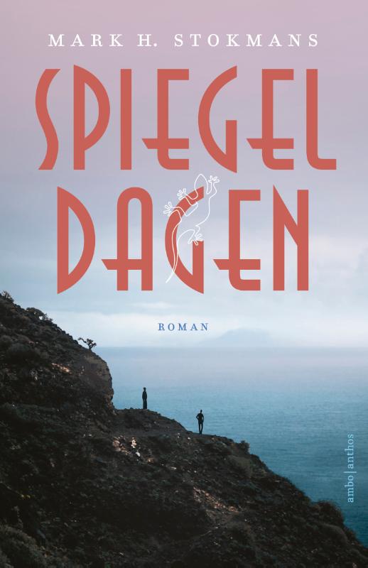 Omslag van Spiegeldagen