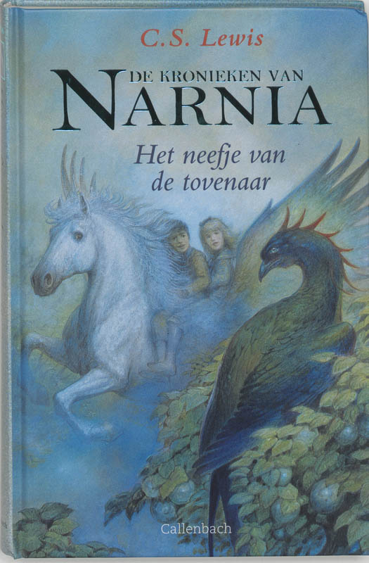 Omslag van Het neefje van de tovenaar
