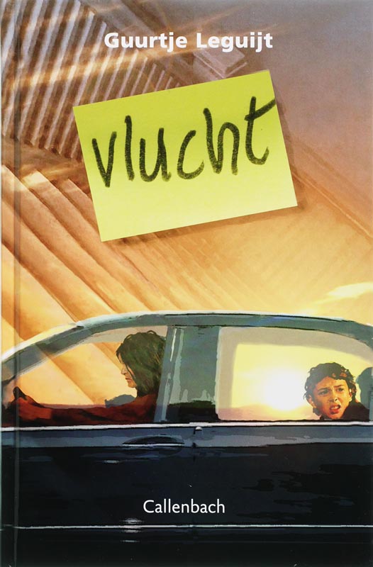 Omslag van Vlucht