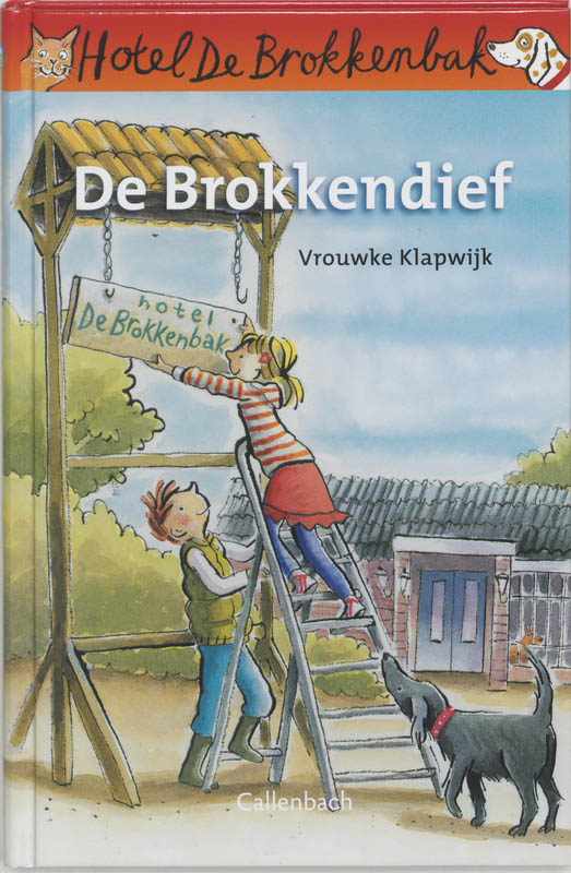 Omslag van De brokkendief
