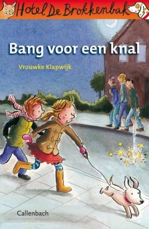 Omslag van Bang voor een knal