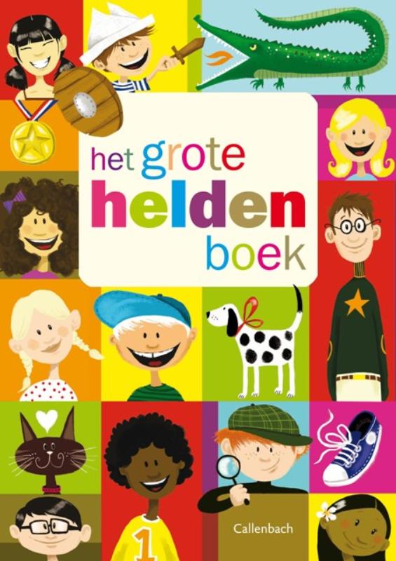 Omslag van Het grote Helden boek