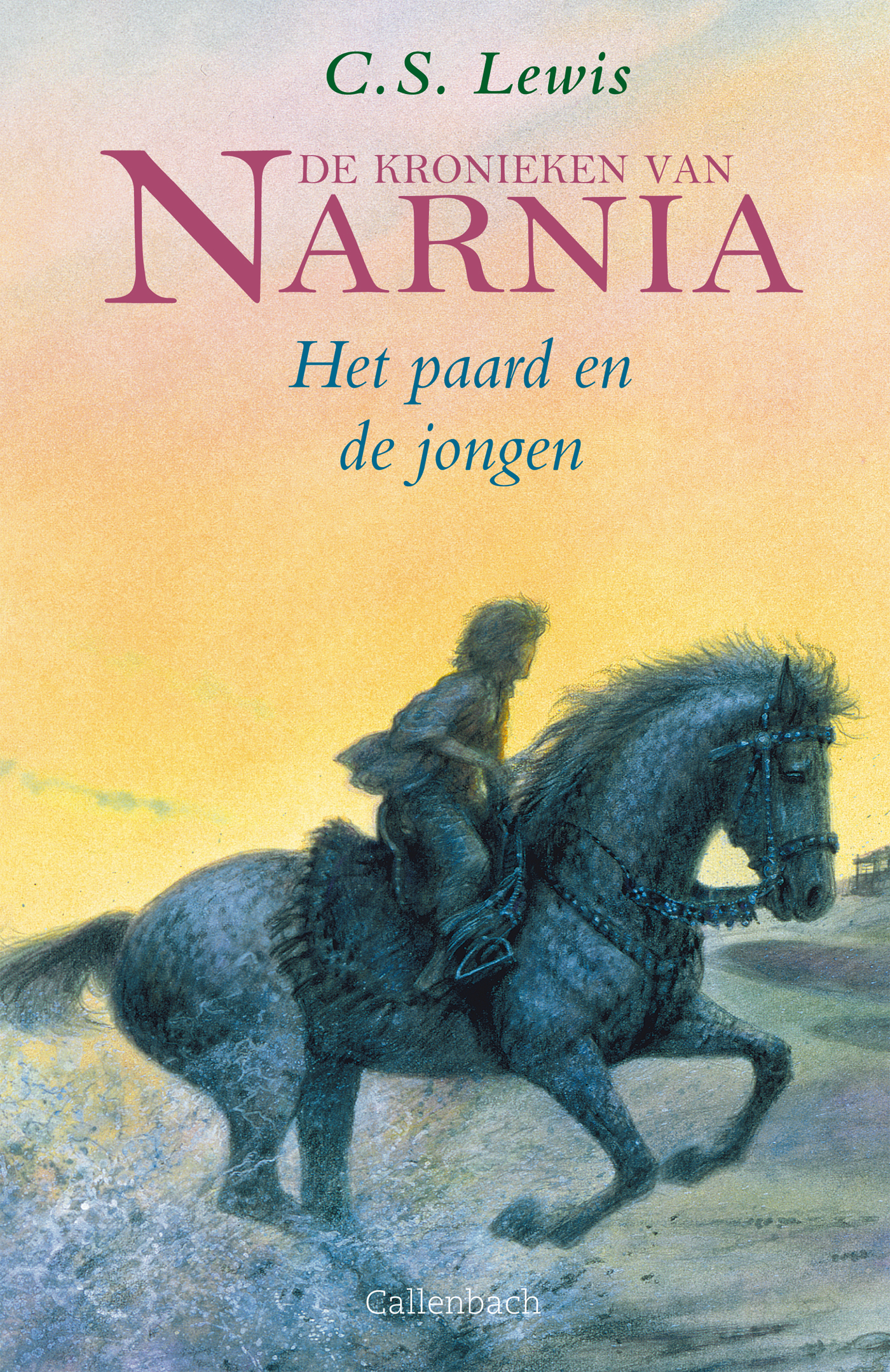 Omslag van Het paard en de jongen