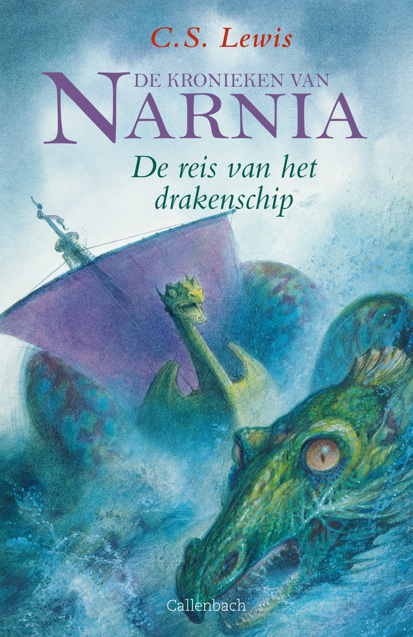 Omslag van De reis van het drakenschip