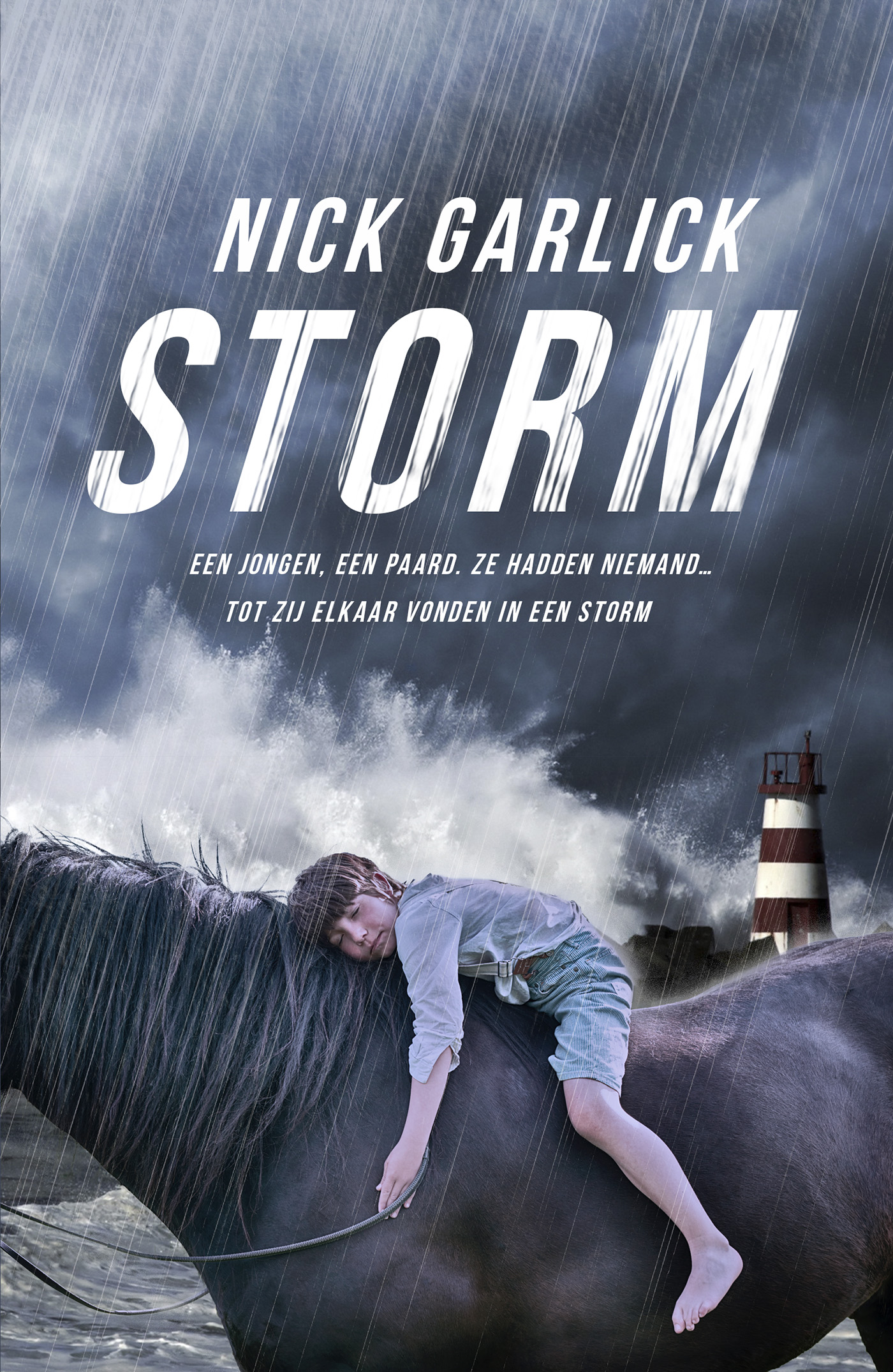 Omslag van Storm
