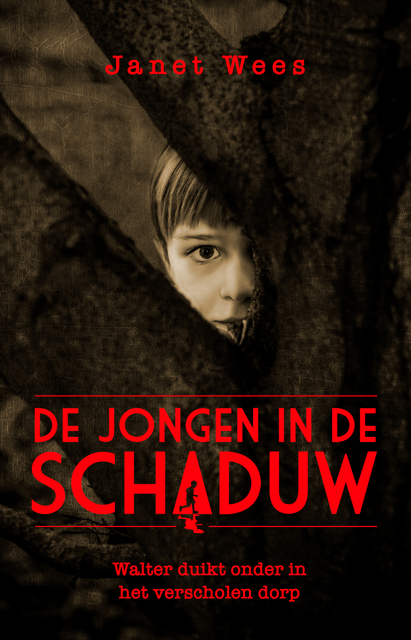 Omslag van De jongen in de schaduw