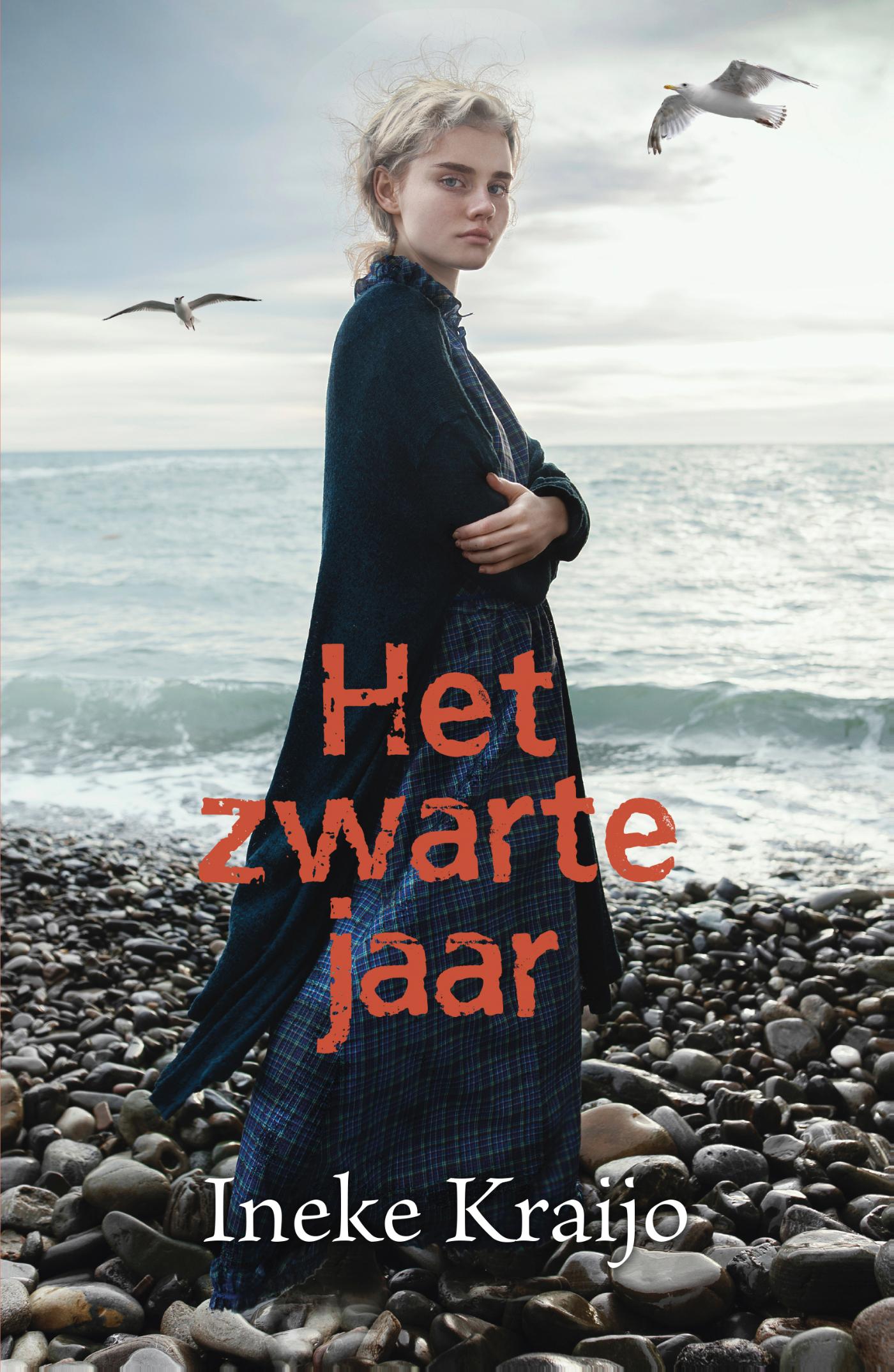 Omslag van Het zwarte jaar