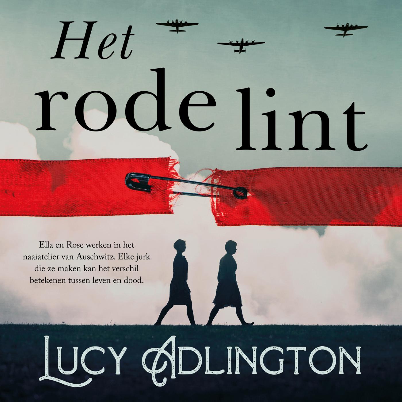 Omslag van Het rode lint