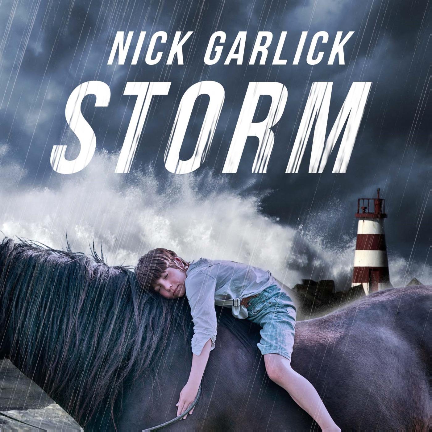 Omslag van Storm