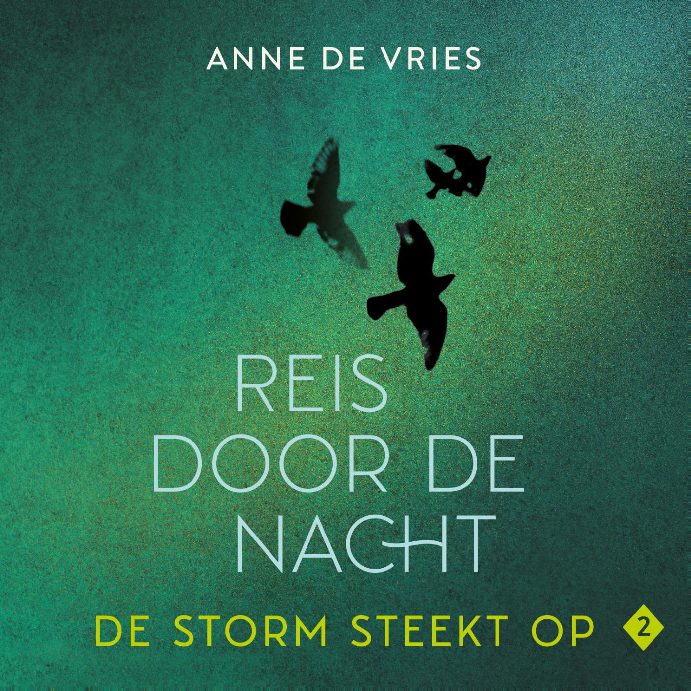 Omslag van De storm steekt op