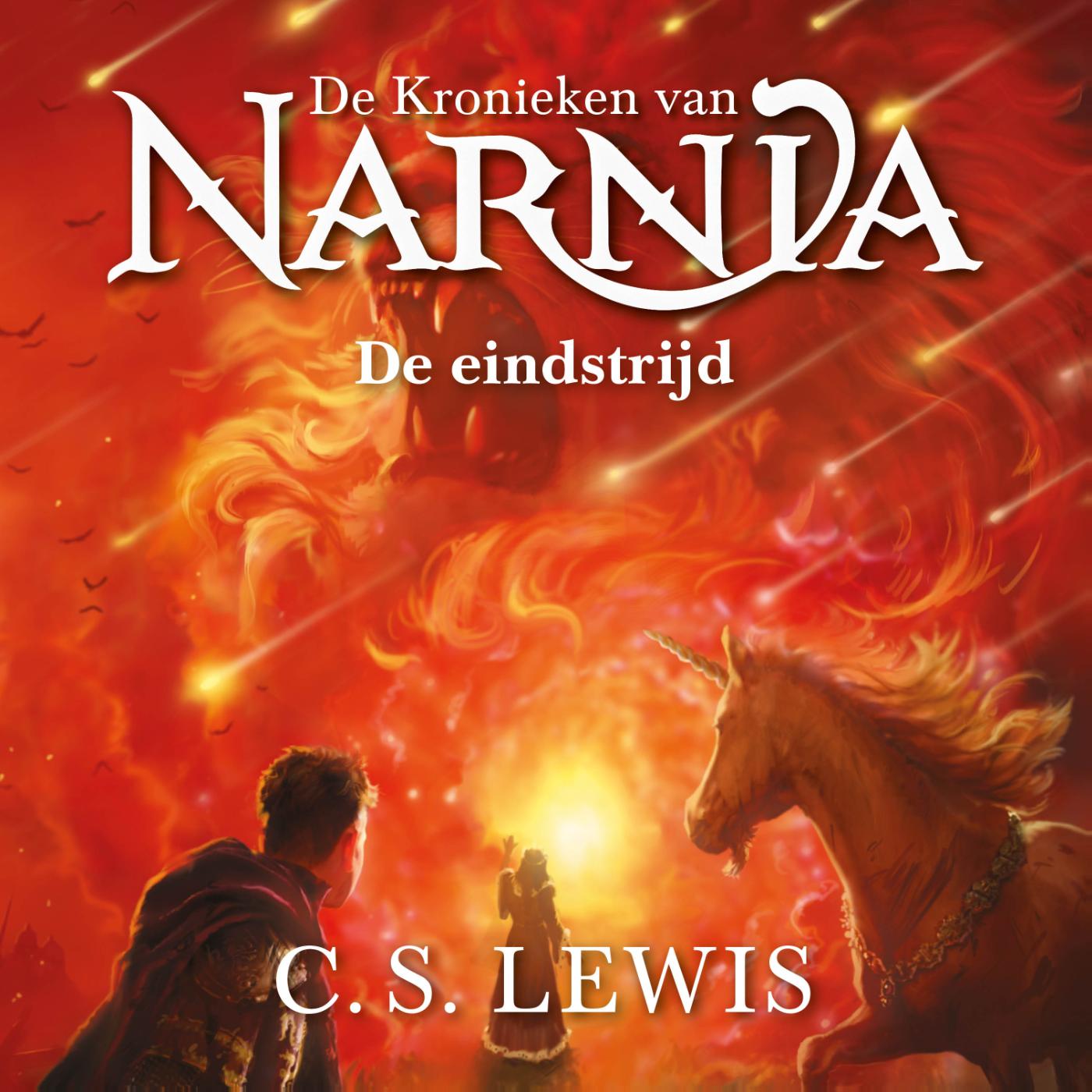 Omslag van De eindstrijd