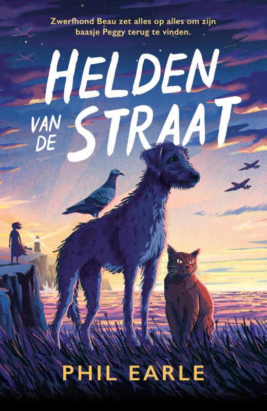Omslag van Helden van de straat