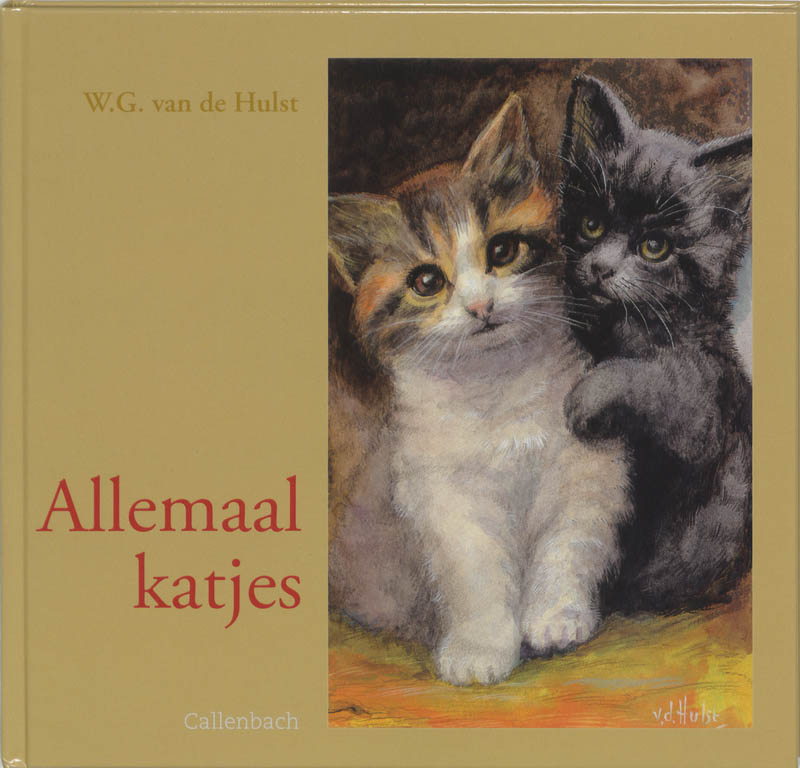 Omslag van Allemaal katjes