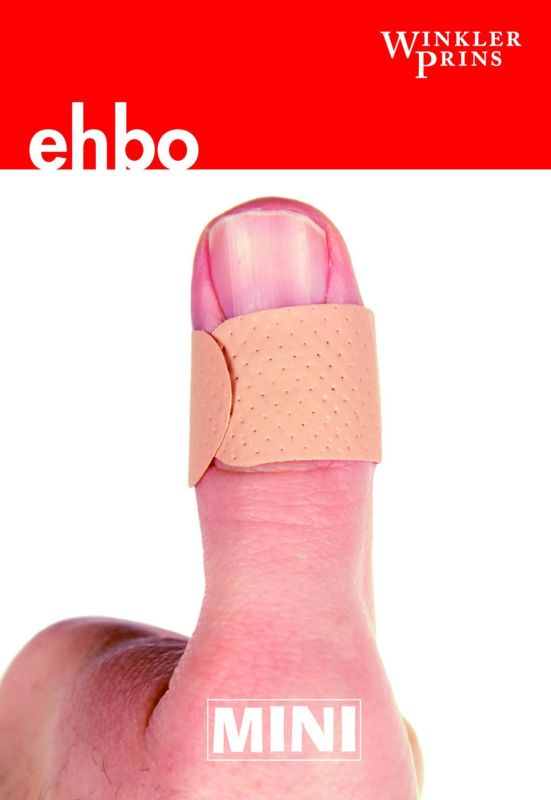 Omslag van Mini WP EHBO