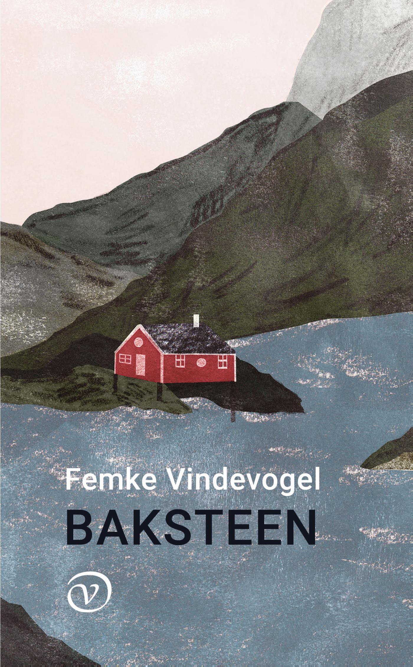 Omslag van Baksteen