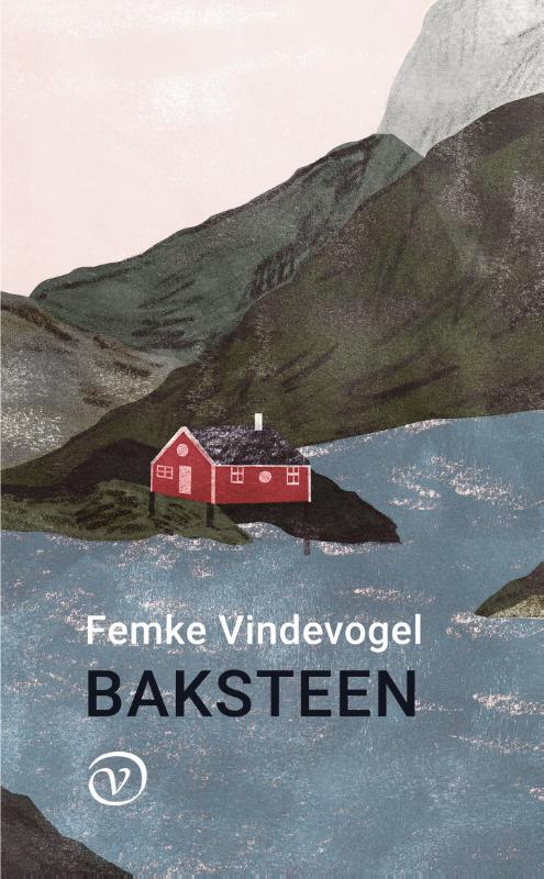 Omslag van Baksteen