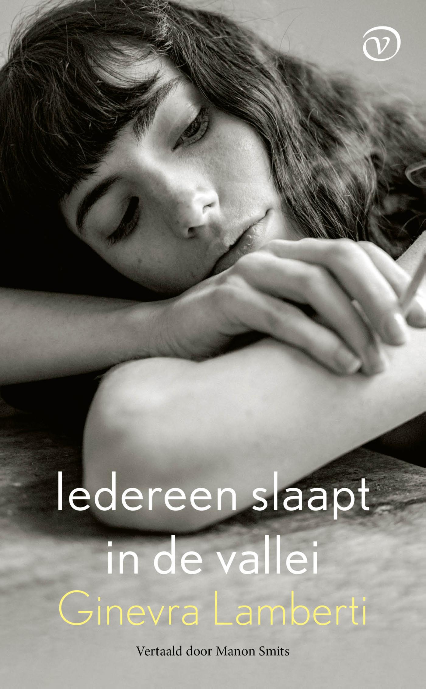 Omslag van Iedereen slaapt in de vallei