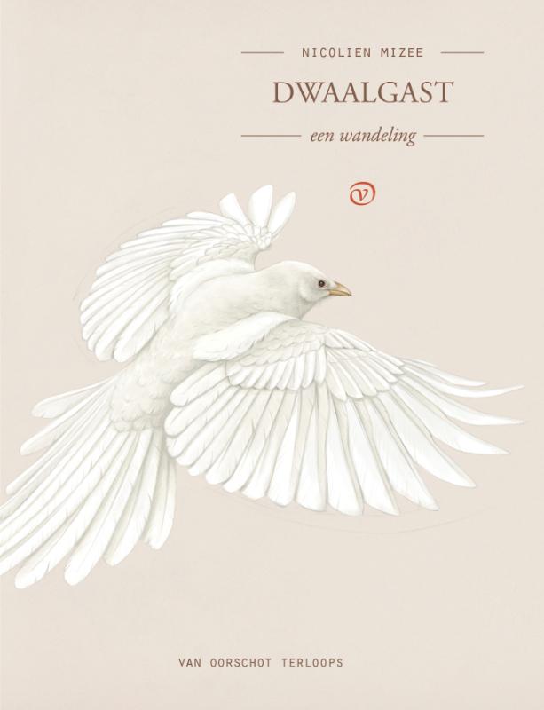 Omslag van Dwaalgast
