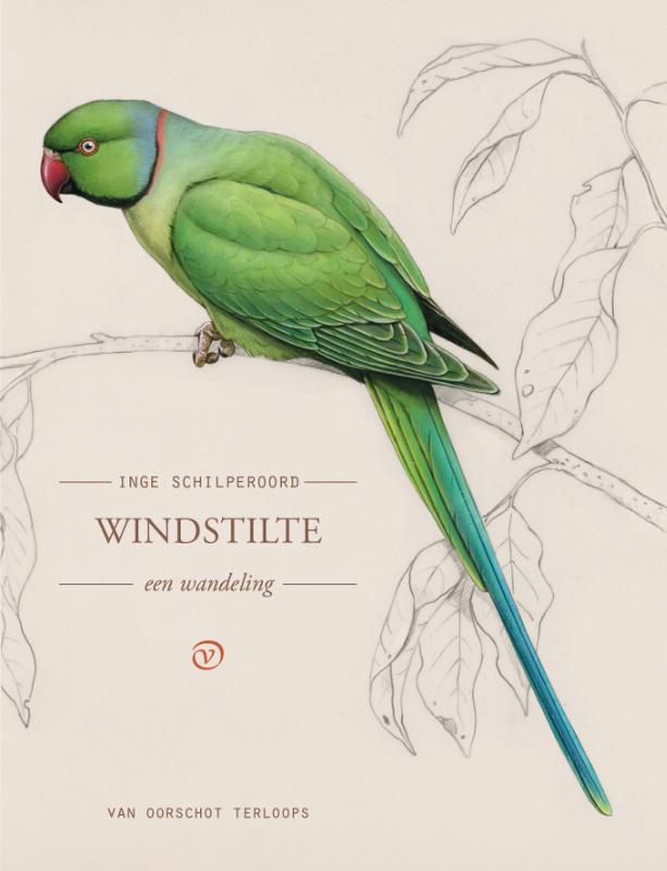Omslag van Windstilte