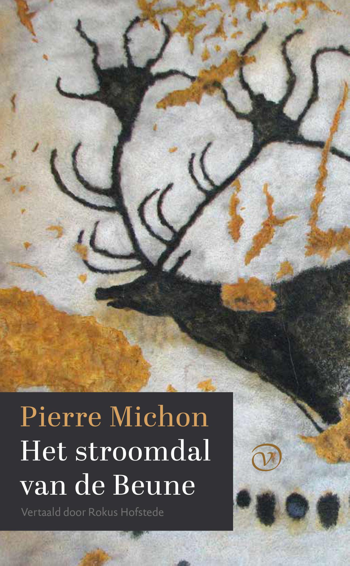 Omslag van Het stroomdal van de Beune