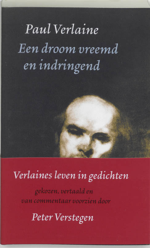 Omslag van Een droom vreemd en indringend