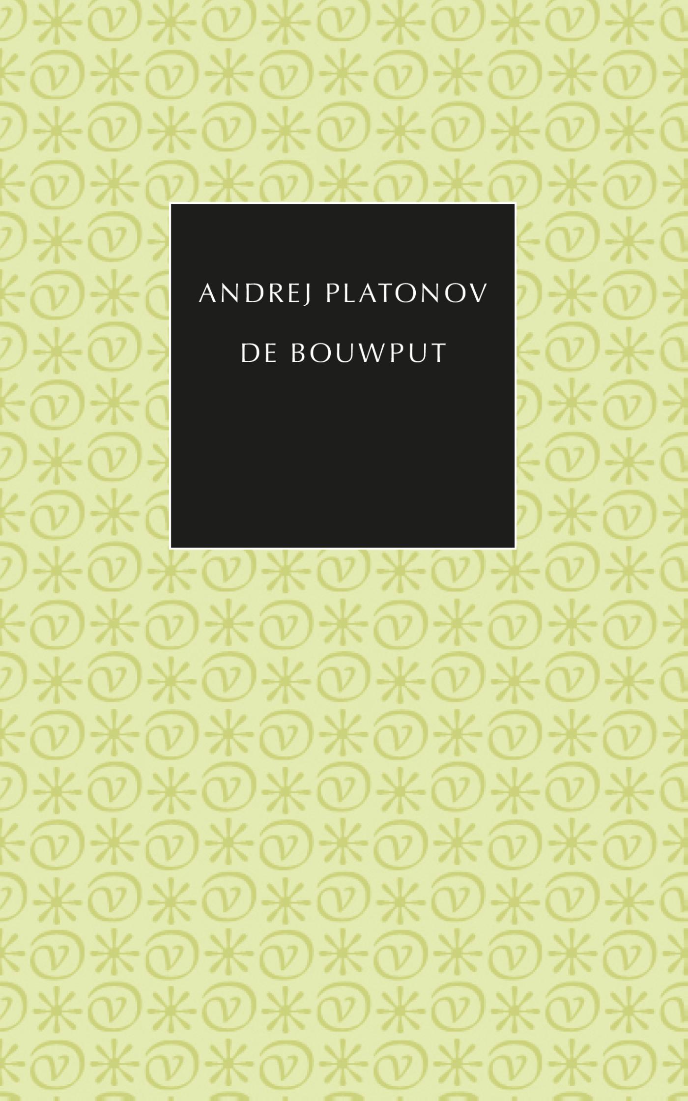 Omslag van De bouwput