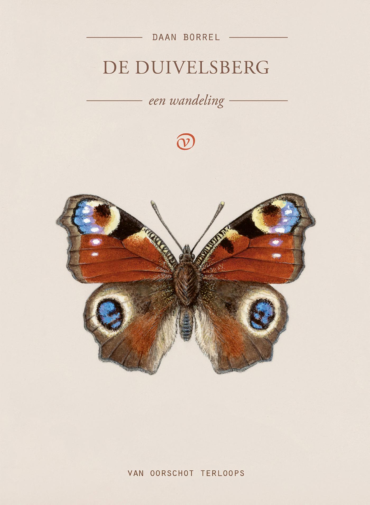 Omslag van De Duivelsberg