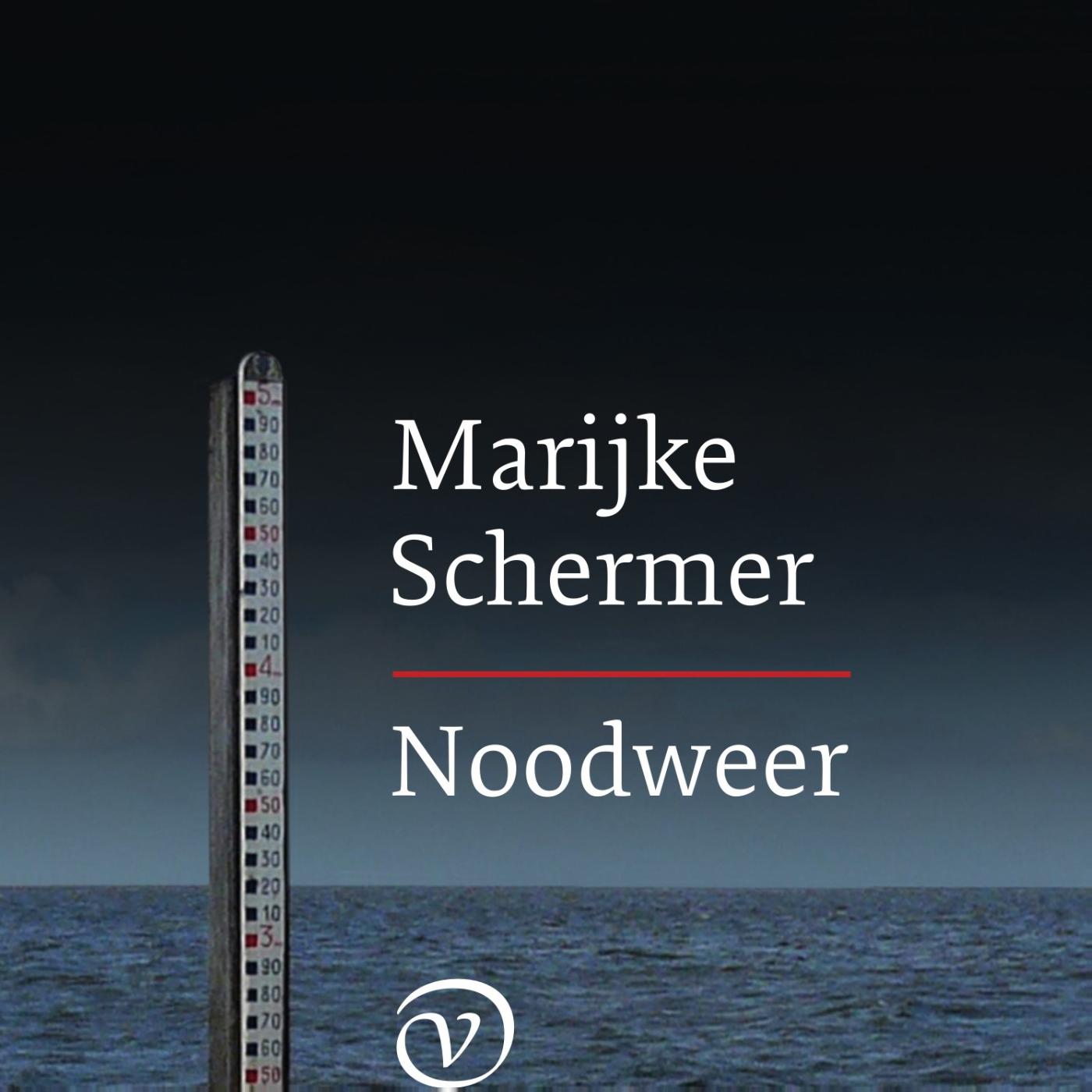 Omslag van Noodweer