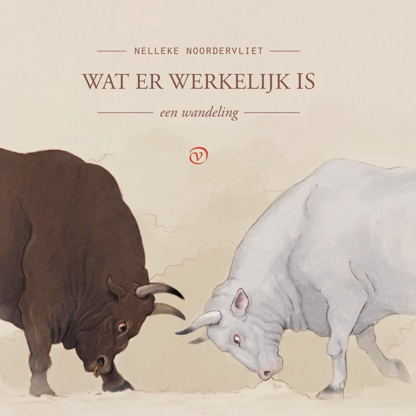 Omslag van Wat er werkelijk is