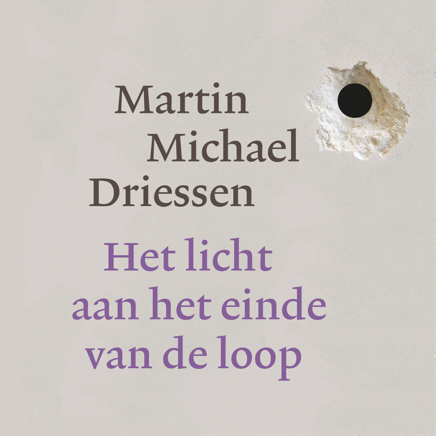 Omslag van Het licht aan het einde van de loop