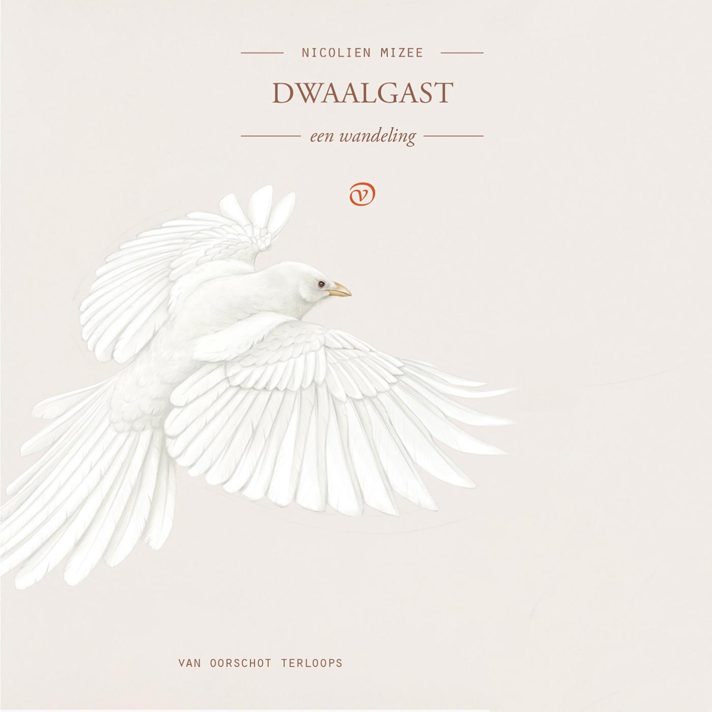 Omslag van Dwaalgast