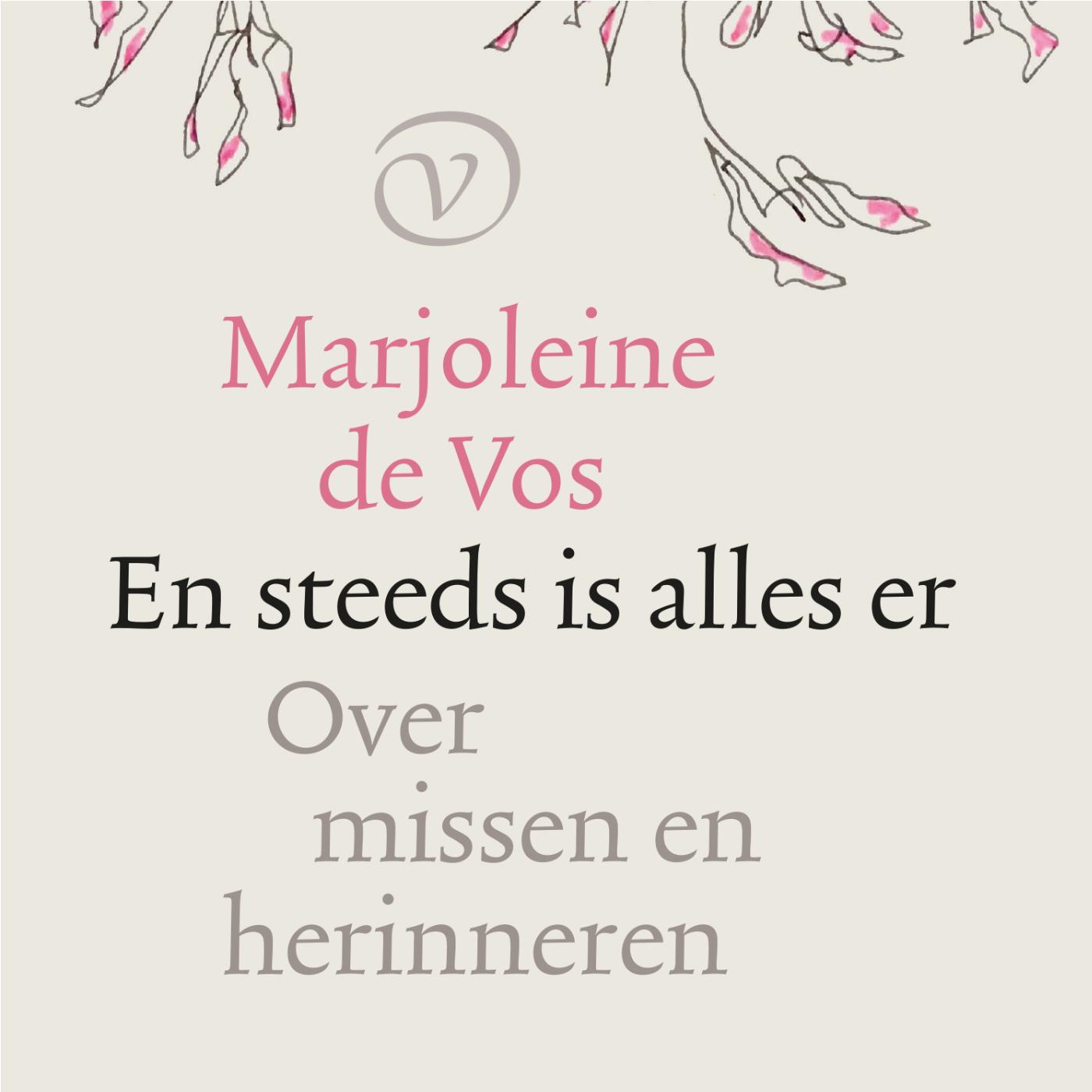 Omslag van En steeds is alles er