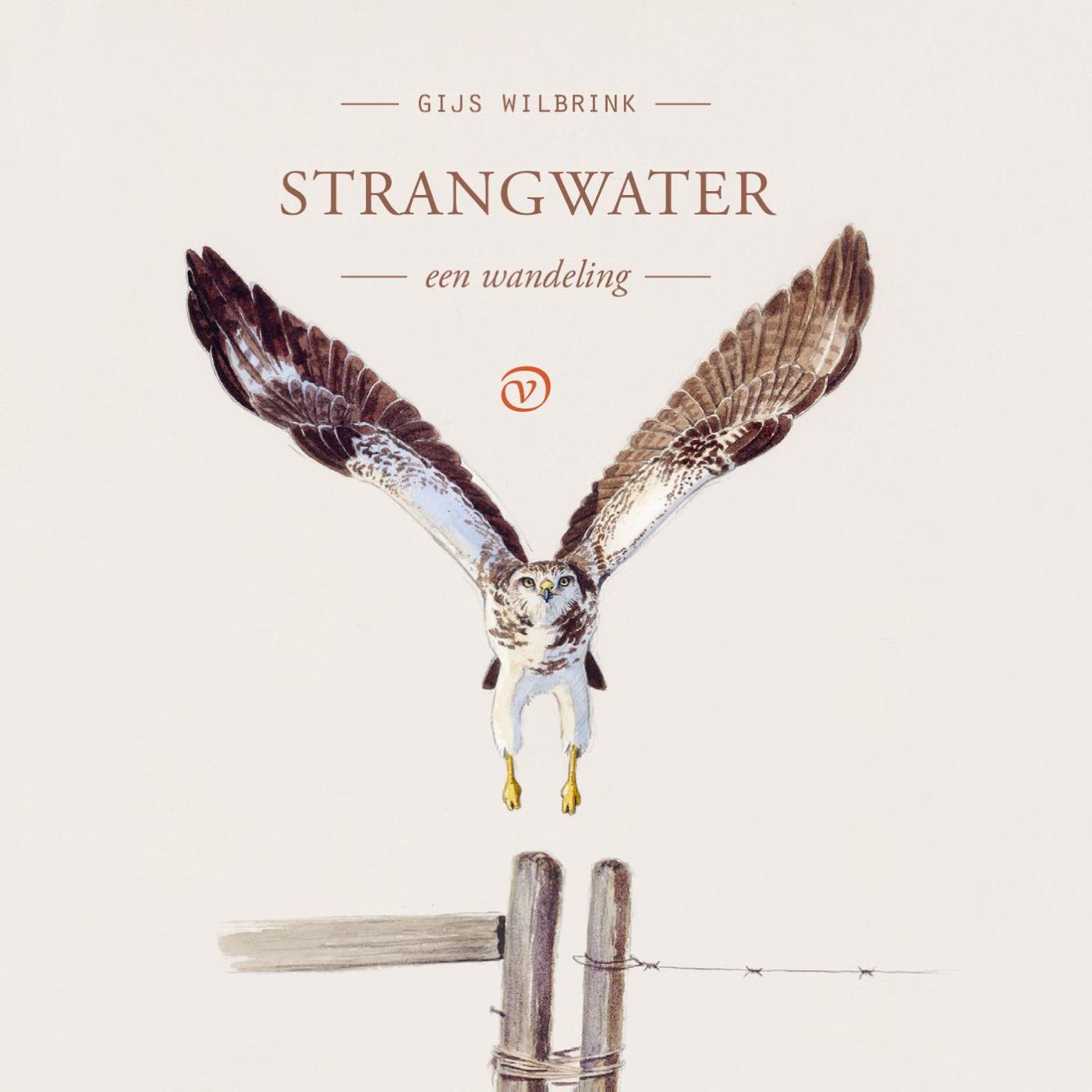 Omslag van Strangwater