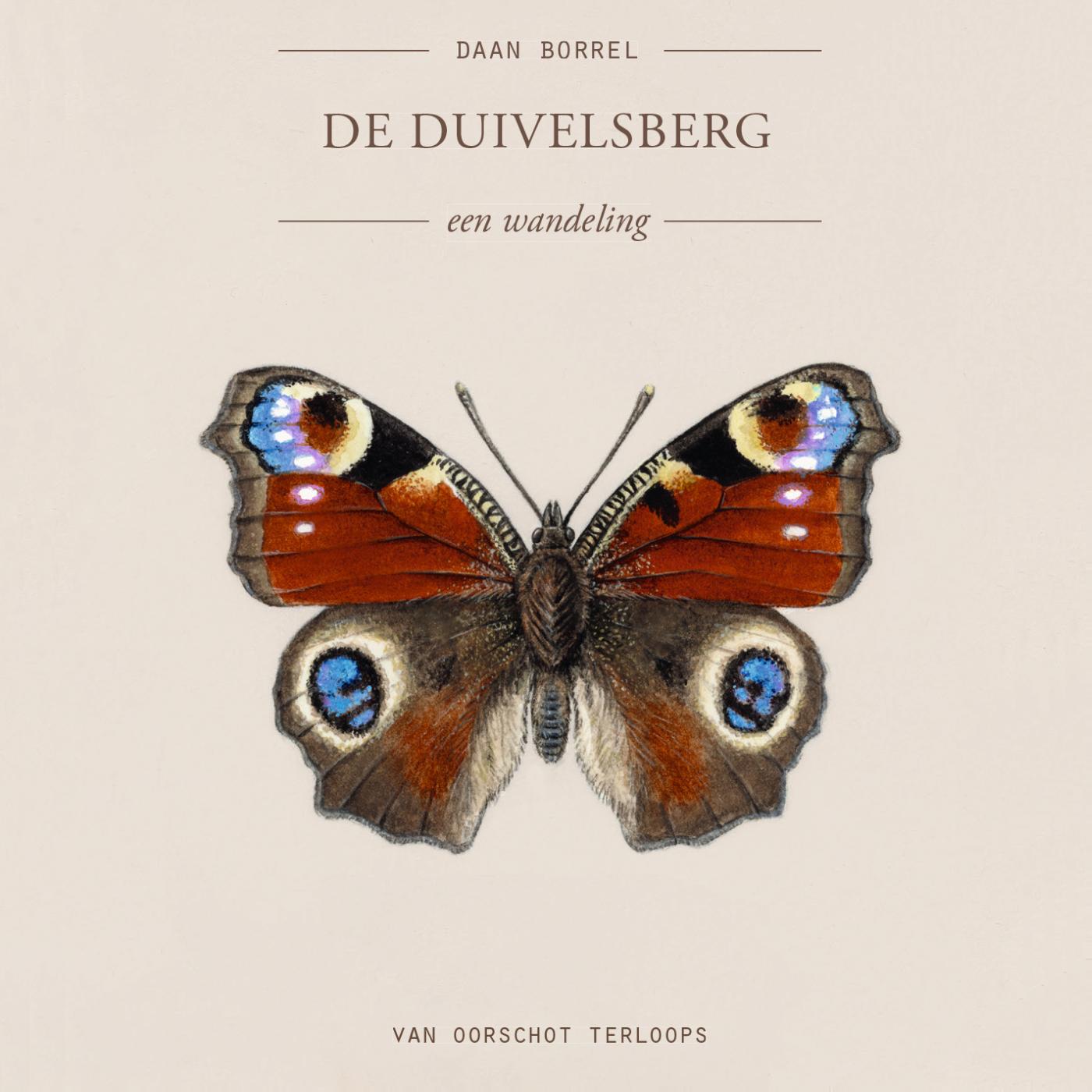 Omslag van De Duivelsberg