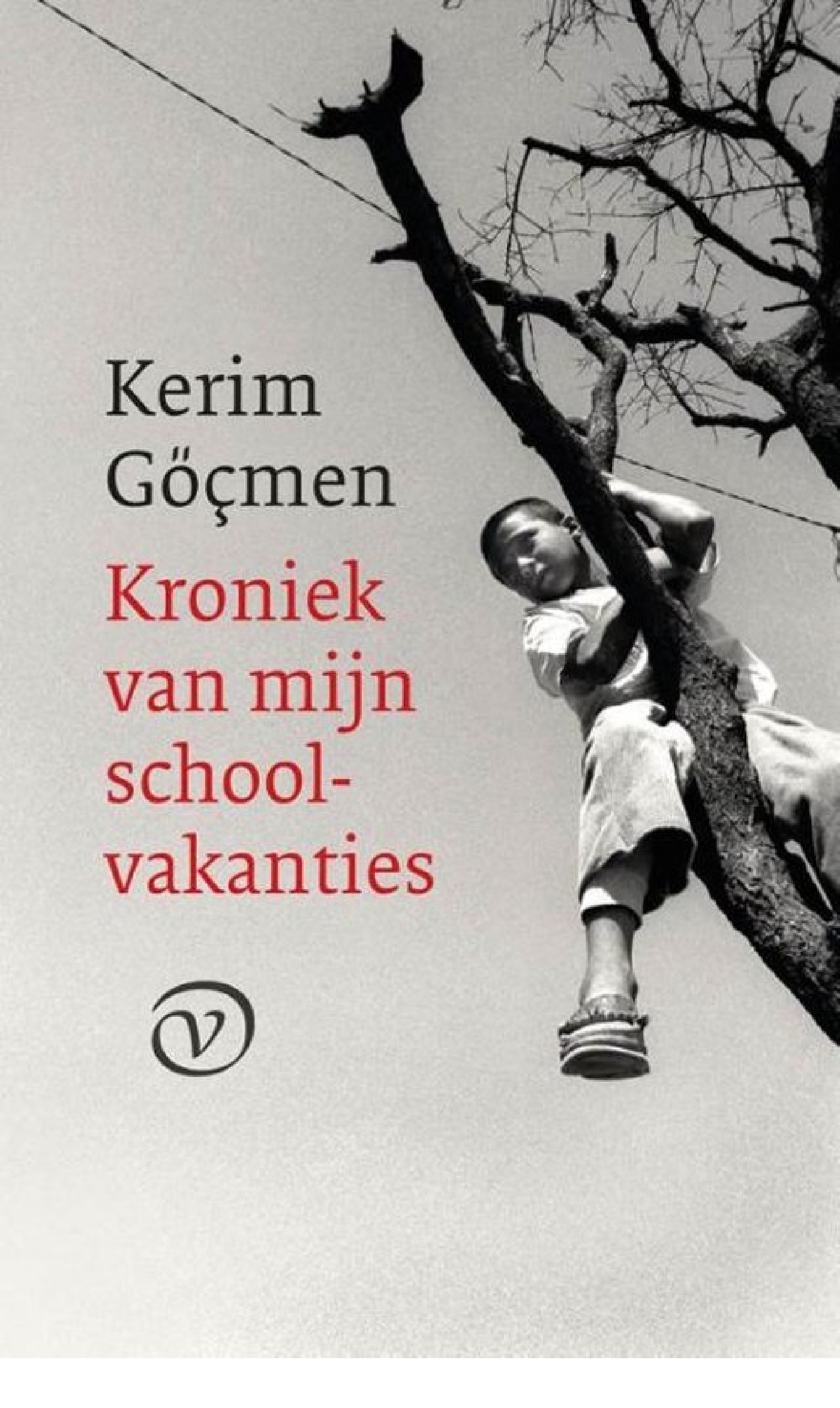 Omslag van Kroniek van mijn schoolvakanties