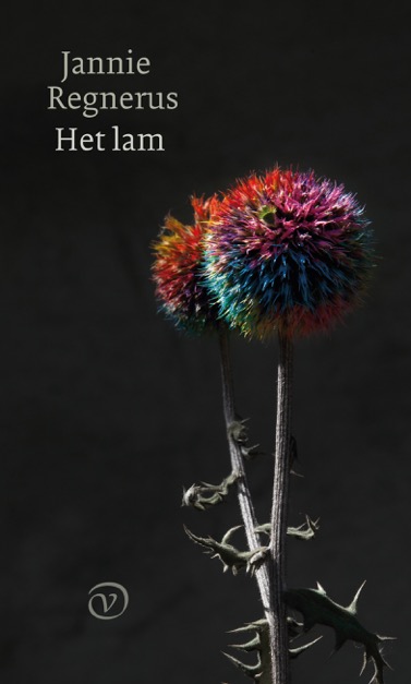 Omslag van Het lam