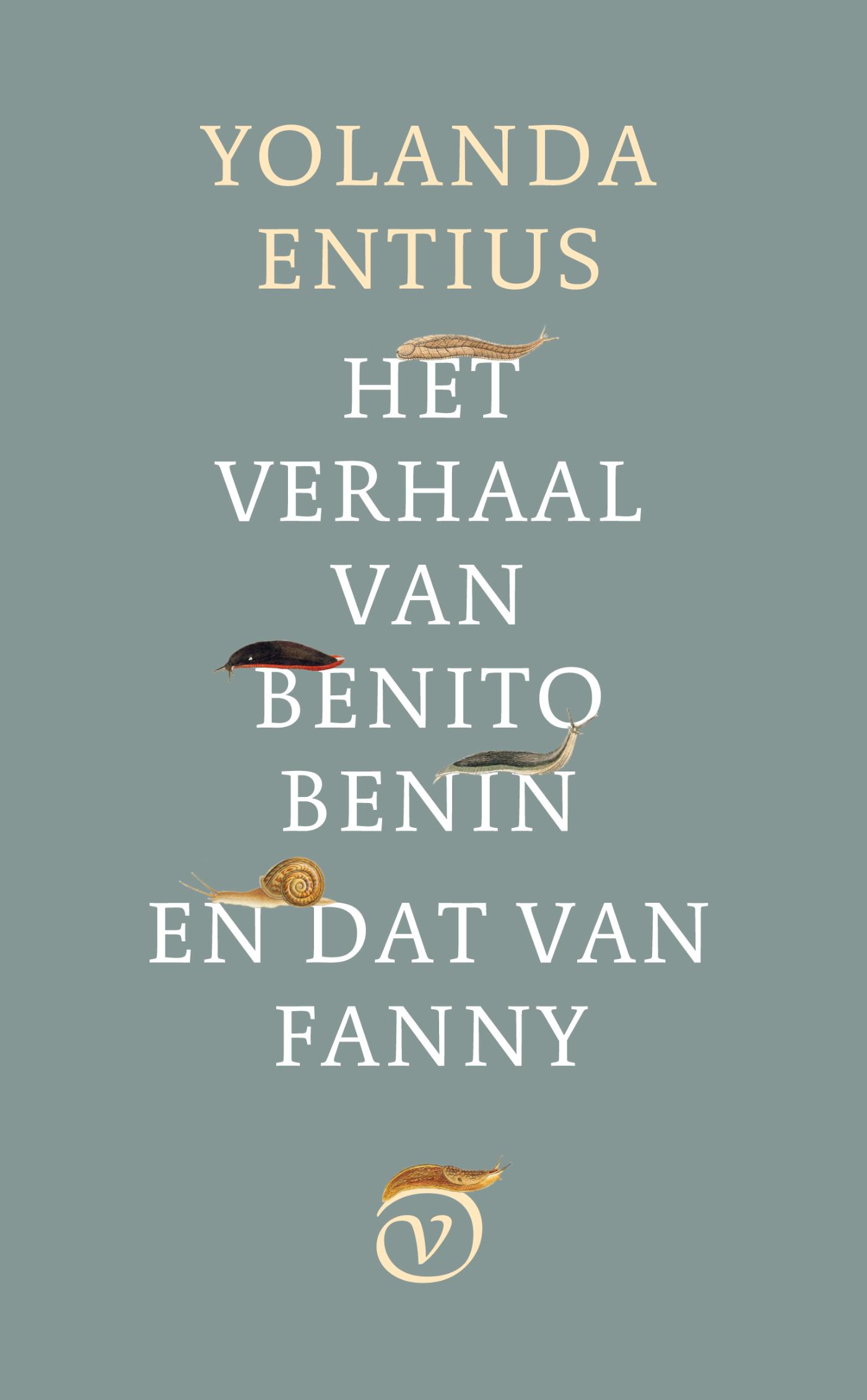 Omslag van Het verhaal van Benito Benin en dat van Fanny