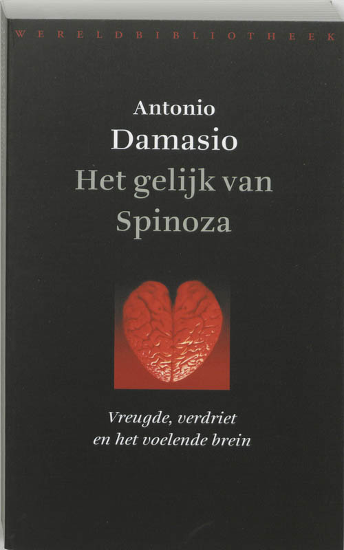 Omslag van Het gelijk van Spinoza