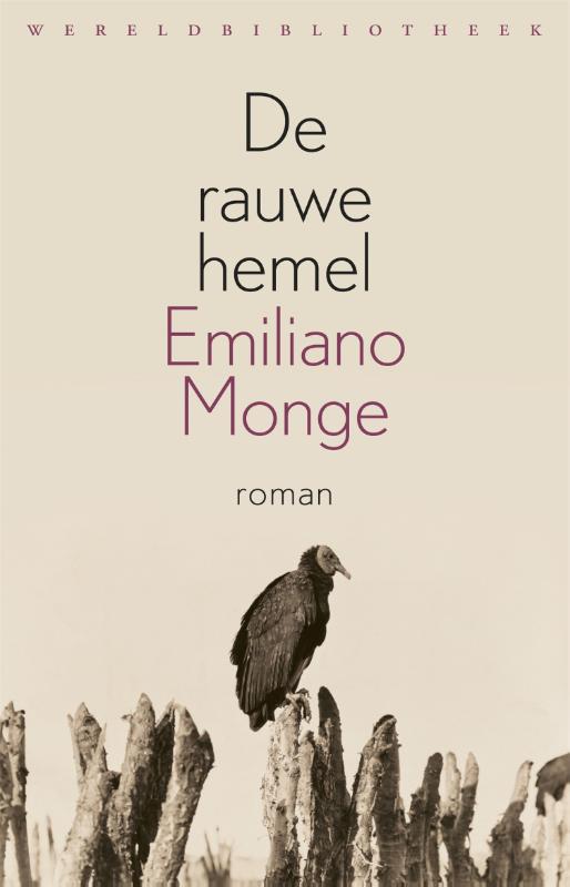 Omslag van De rauwe hemel