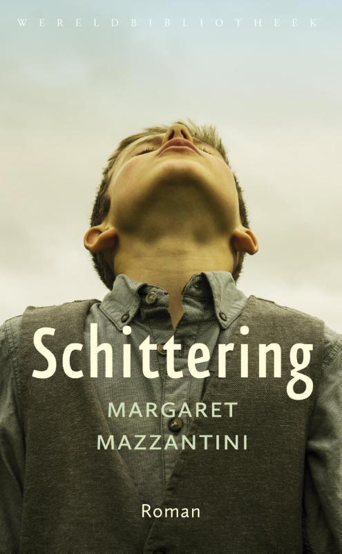 Omslag van Schittering
