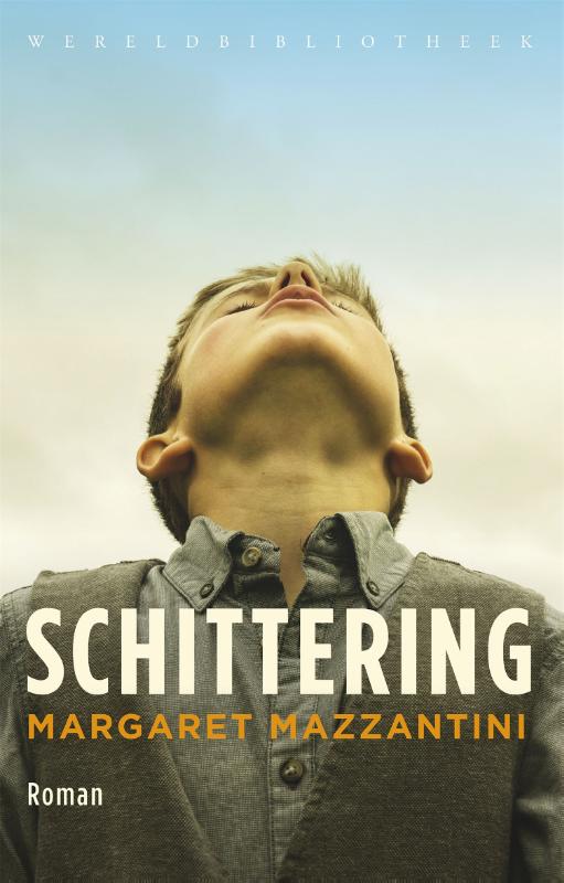 Omslag van Schittering